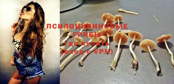 PSILOCYBIN Богданович